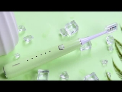 BS61 Adult Sonic Electric Toothbrush