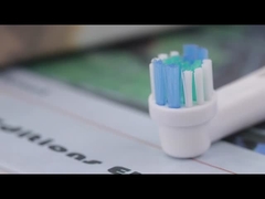 SB-17A electric toothbrush heads