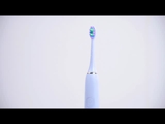 SN903S Adult Electric Toothbrush