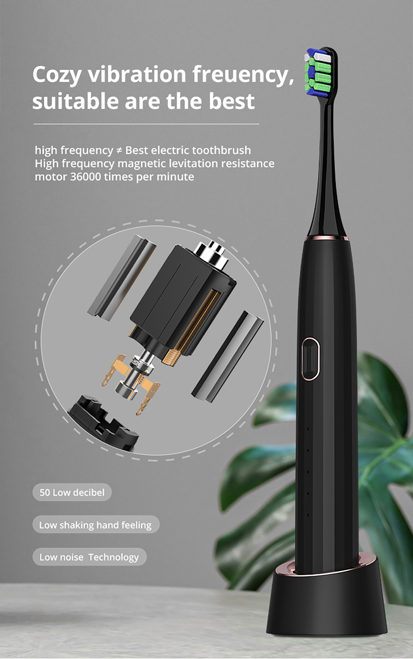 Wholesale Customized Rechargeable Sonic Electric Toothbrush (4)